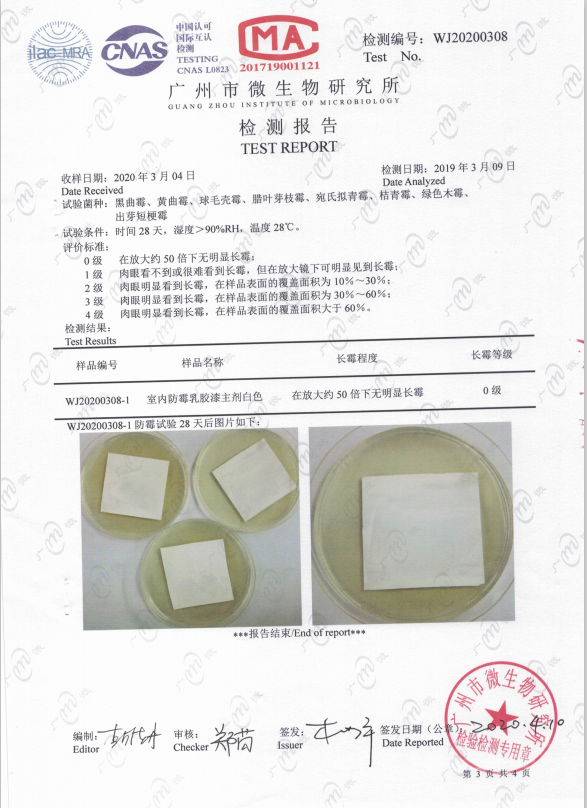 室内乳胶漆主剂白色检验报告